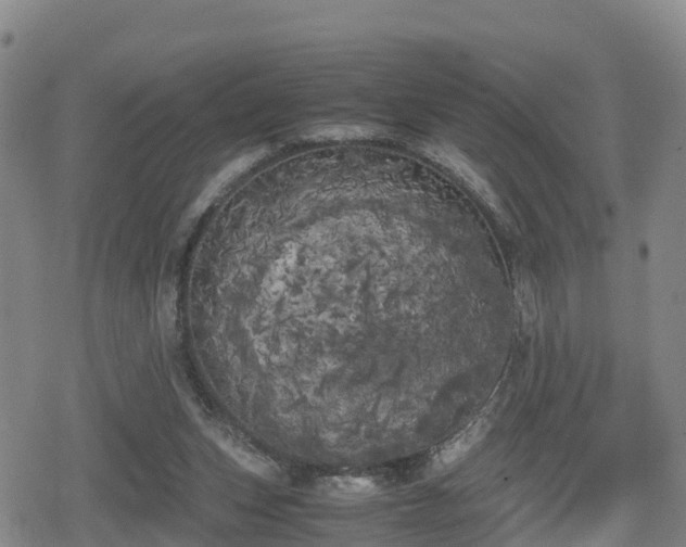 X0000080700159200612221126