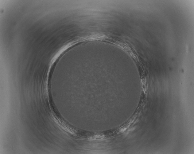 X0000080700196200612221126