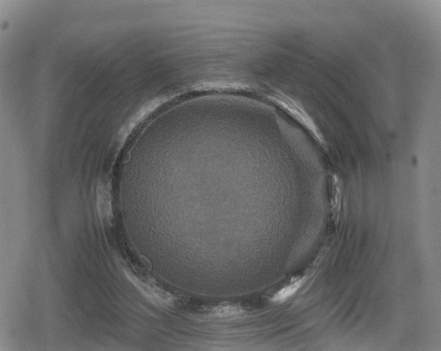 X0000080700204200612221126