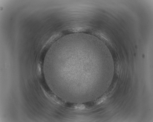 X0000080700214200612221126