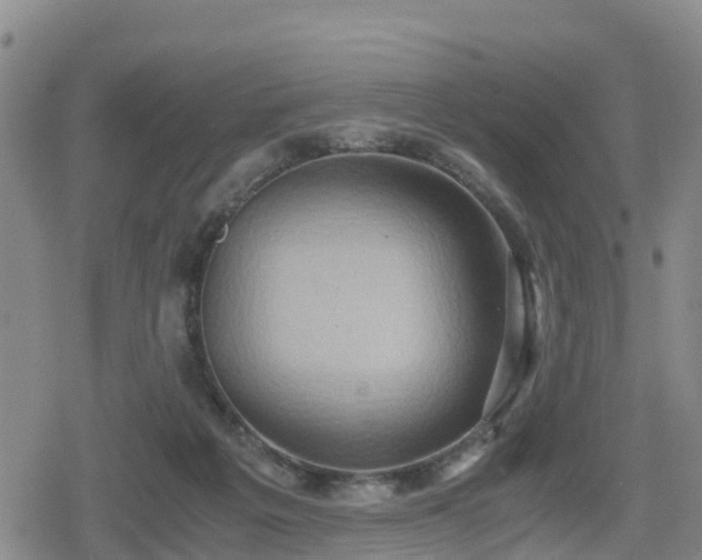 X0000080700217200612221126