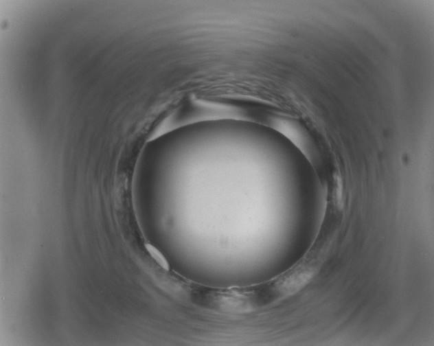 X0000080700229200612221126