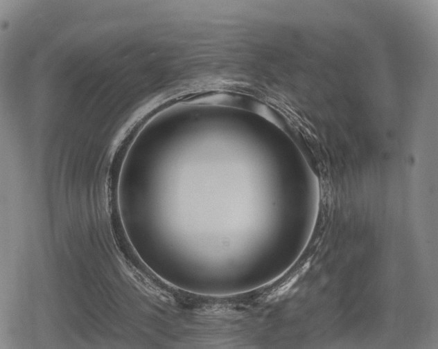 X0000080700244200612221125