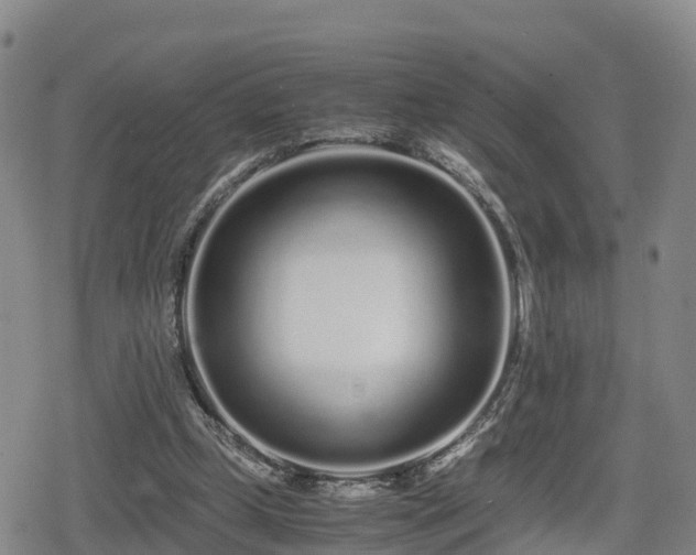 X0000080700249200612221125