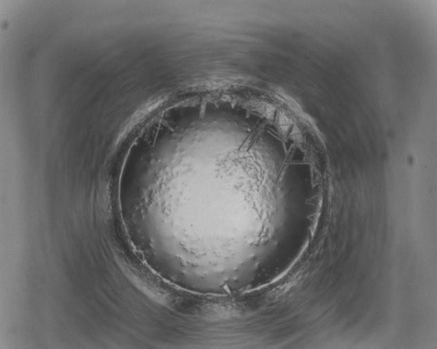 X0000080700250200612221125