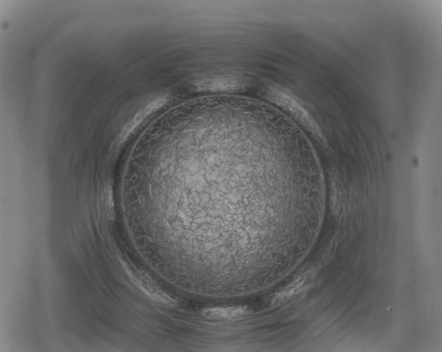 X0000080700251200612221125