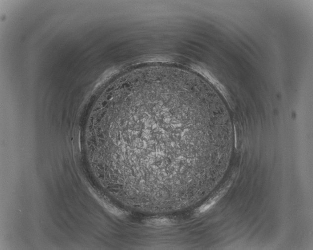 X0000080700253200612221125