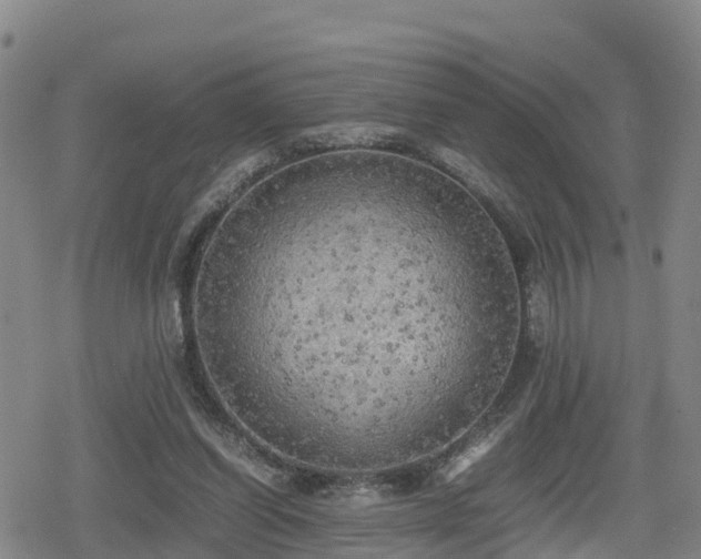 X0000080700254200612221125