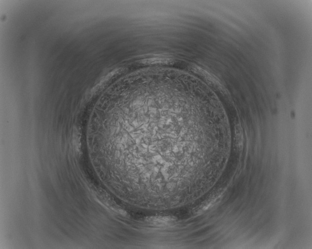 X0000080700255200612221125