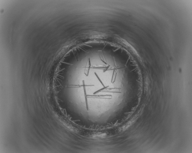 X0000080700257200612221125