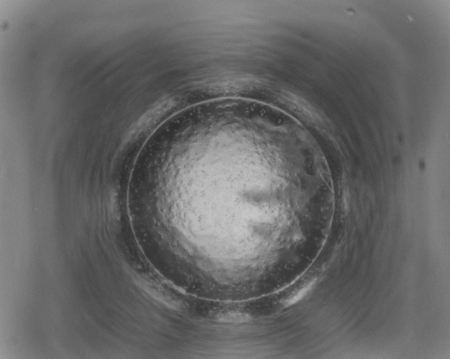 X0000080700258200612221125