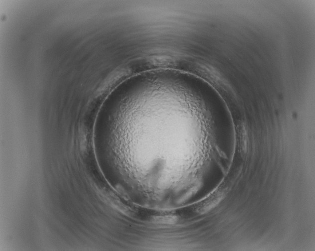 X0000080700266200612221125