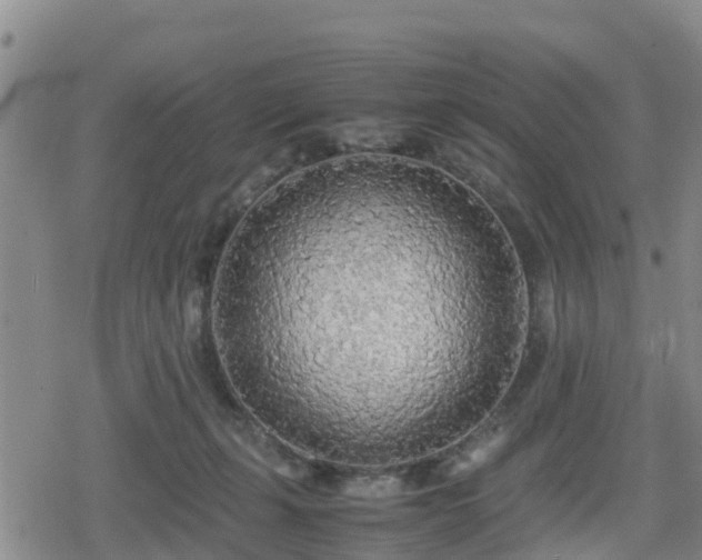 X0000080700271200612221125