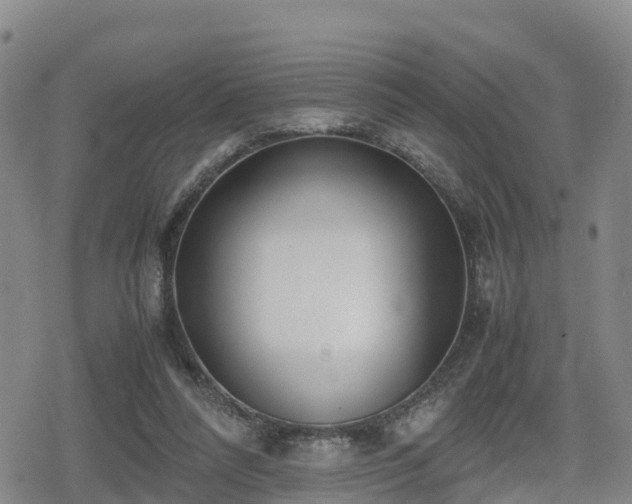X0000080700304200612221124