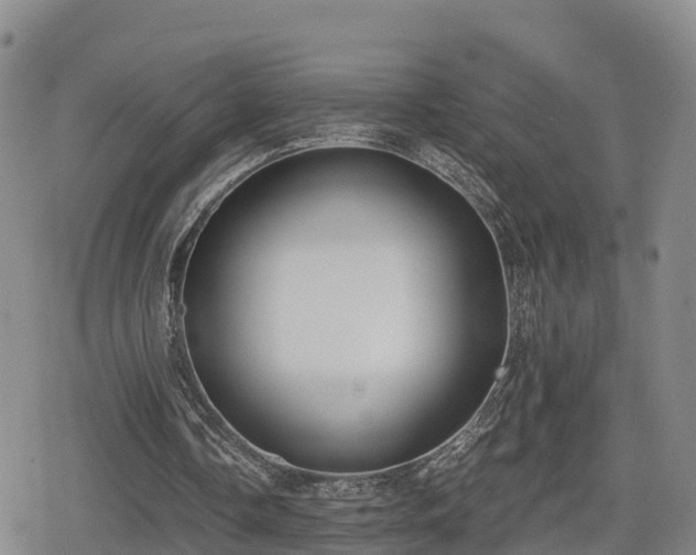 X0000080700338200612221123