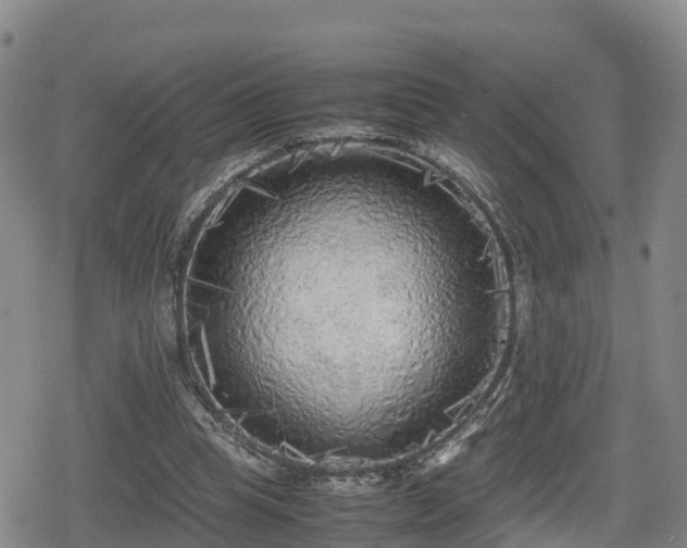 X0000080700345200612221123