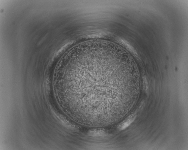 X0000080700354200612221123