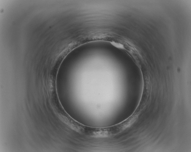 X0000080700362200612221123