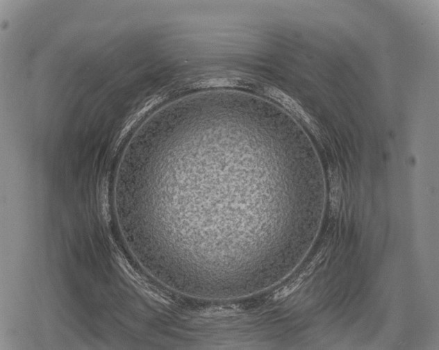 X0000080700386200612221123