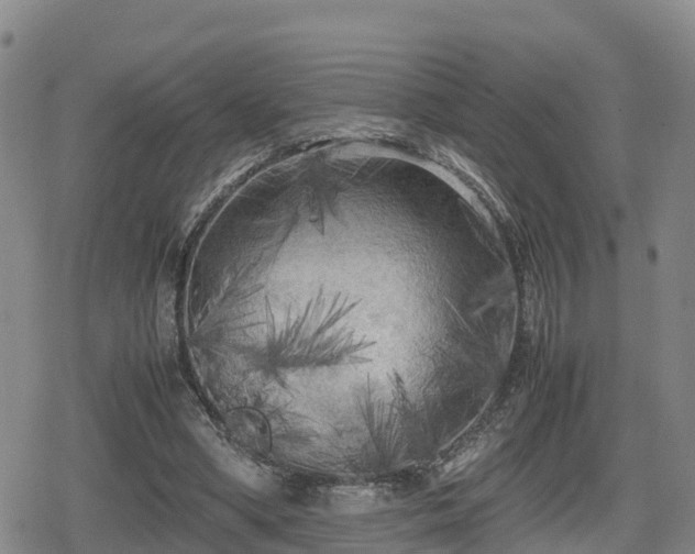 X0000080700394200612221123
