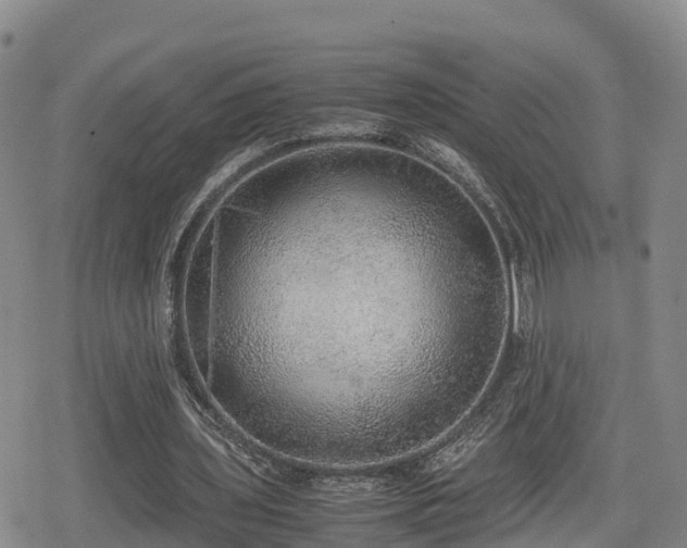 X0000080700435200612221122