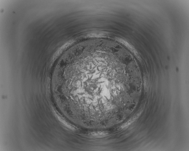 X0000080700445200612221122