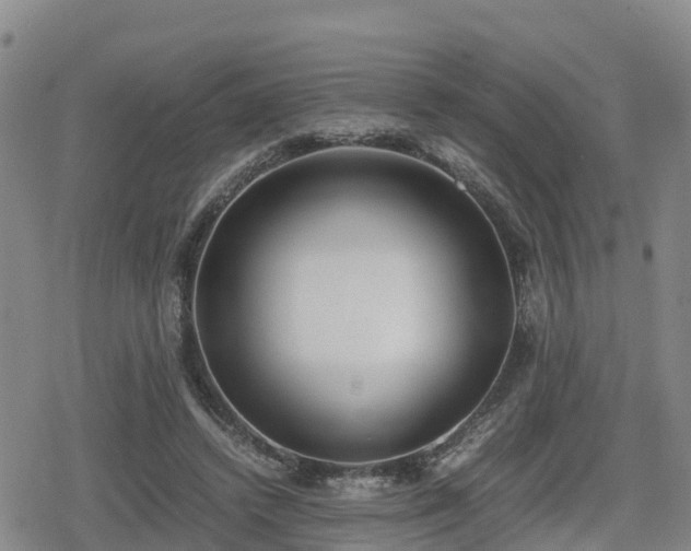 X0000080700448200612221122