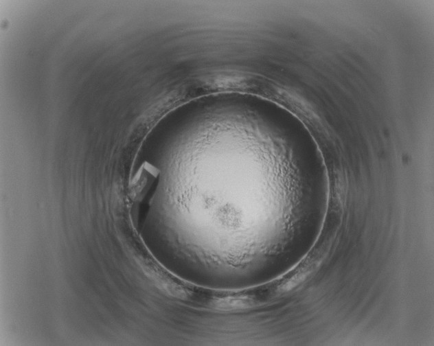 X0000080700461200612221122