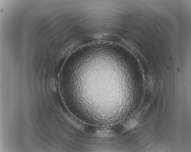 X0000080700470200612221122