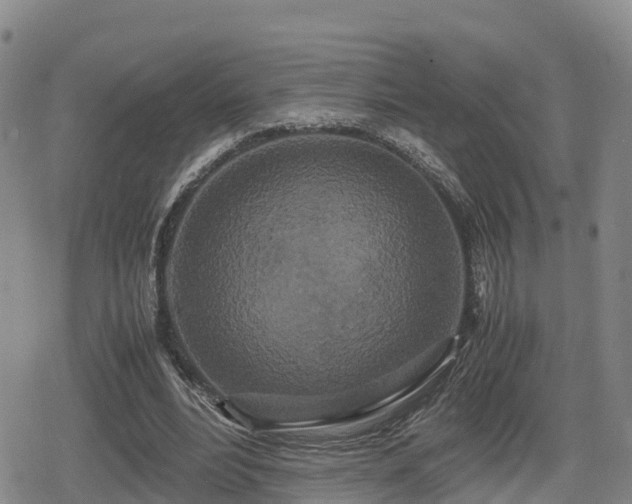 X0000080700488200612221121