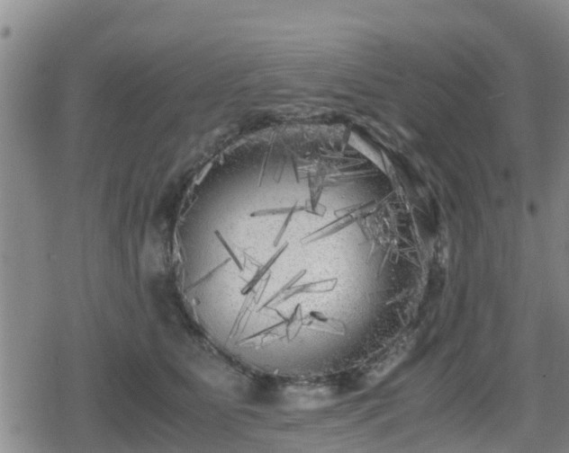 X0000080700515200612221121