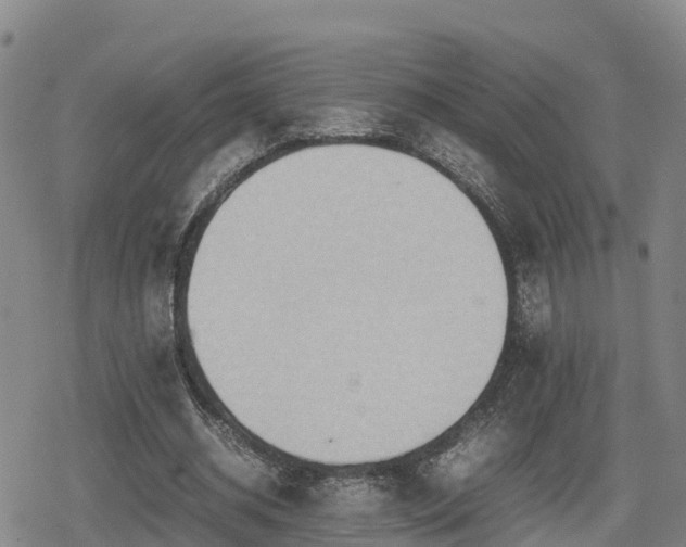X0000080700534200612221120