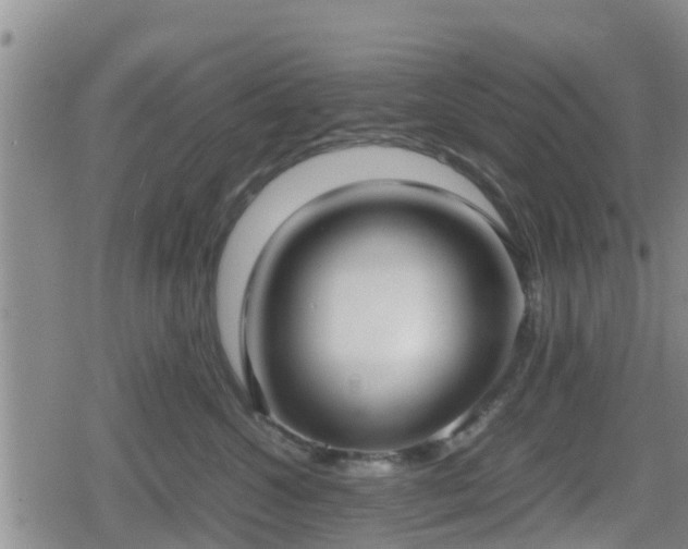 X0000080700572200612221121