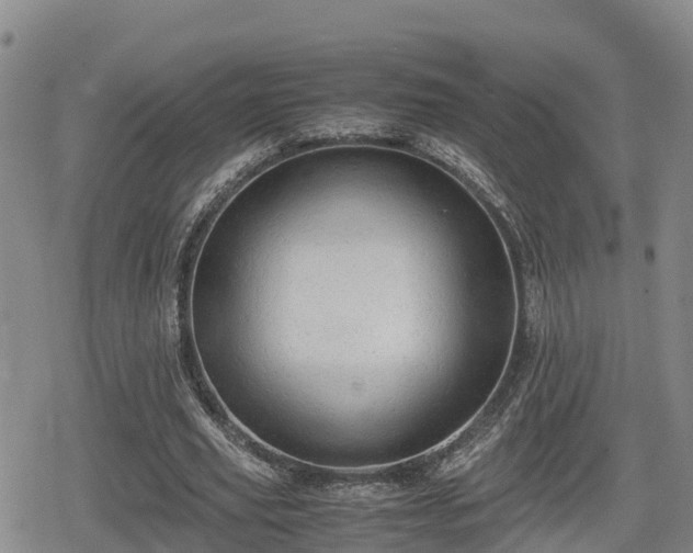 X0000080700629200612221118