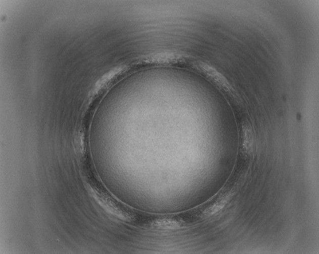 X0000080700636200612221118