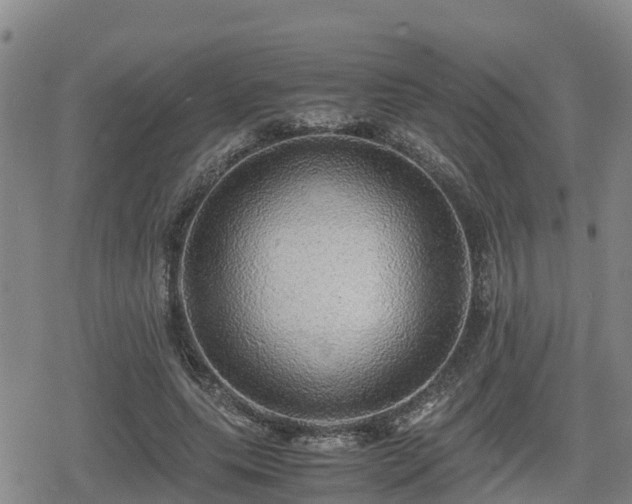 X0000080700639200612221119