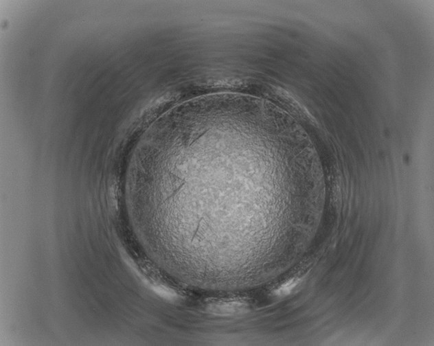 X0000080700643200612221119
