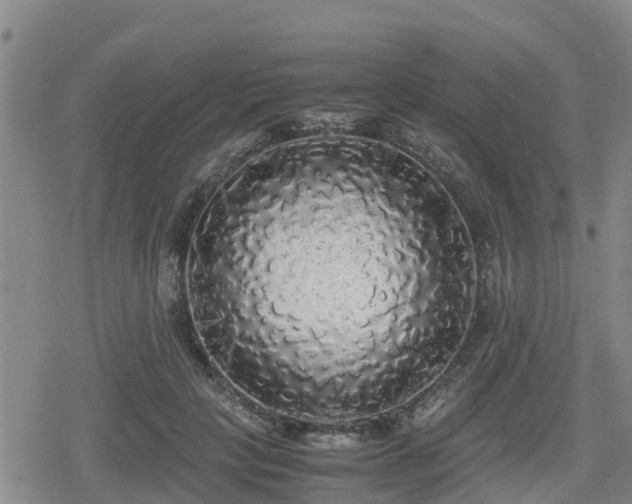 X0000080700649200612221119