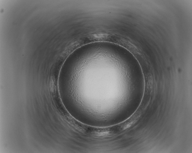 X0000080700651200612221119