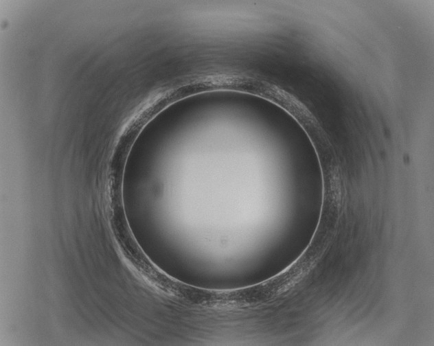 X0000080700730200612221117