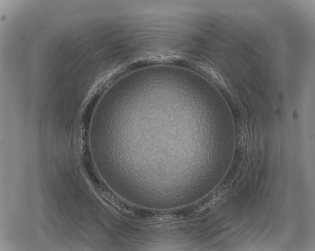X0000080700736200612221117