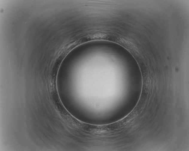 X0000080700743200612221117
