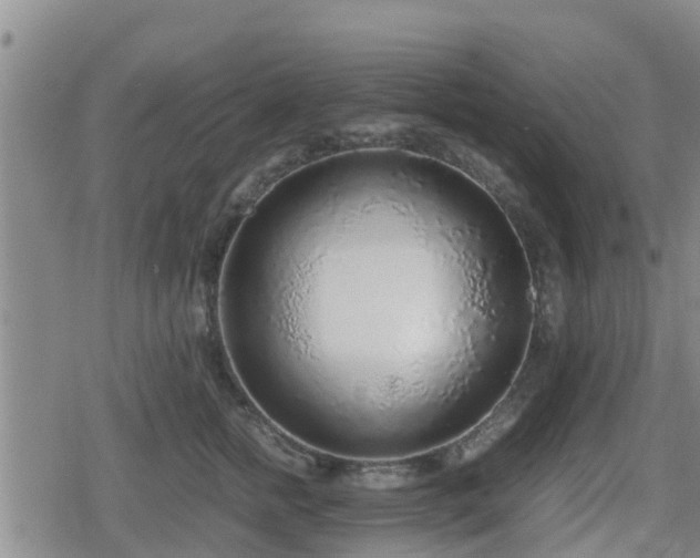 X0000080700758200612221117