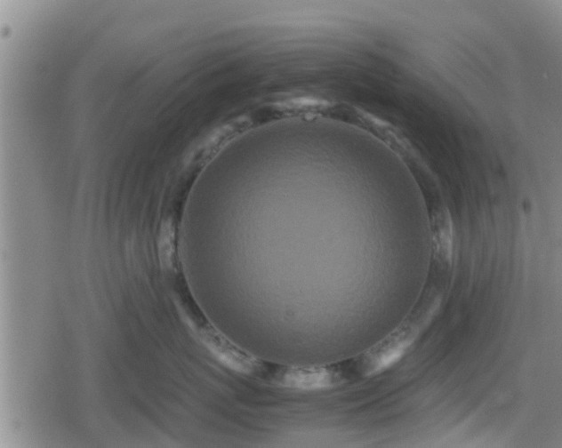 X0000080700767200612221117