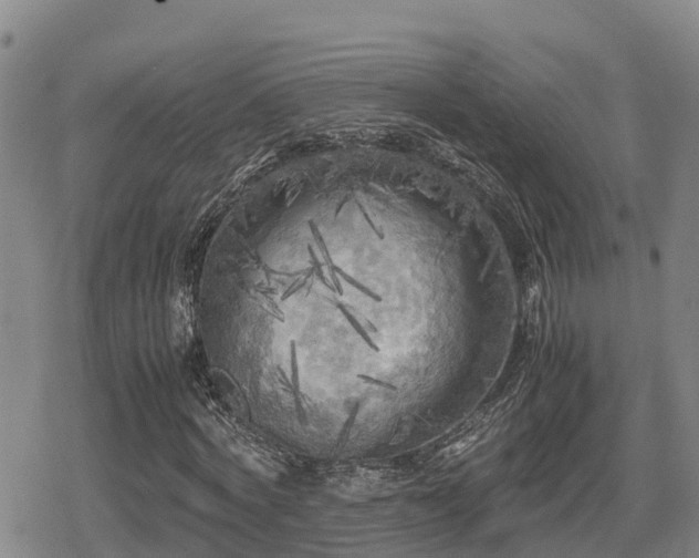 X0000080700772200612221117