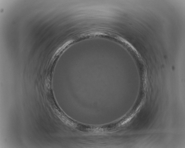 X0000080700785200612221116