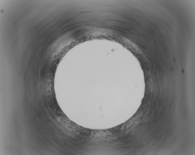 X0000080700824200612221115