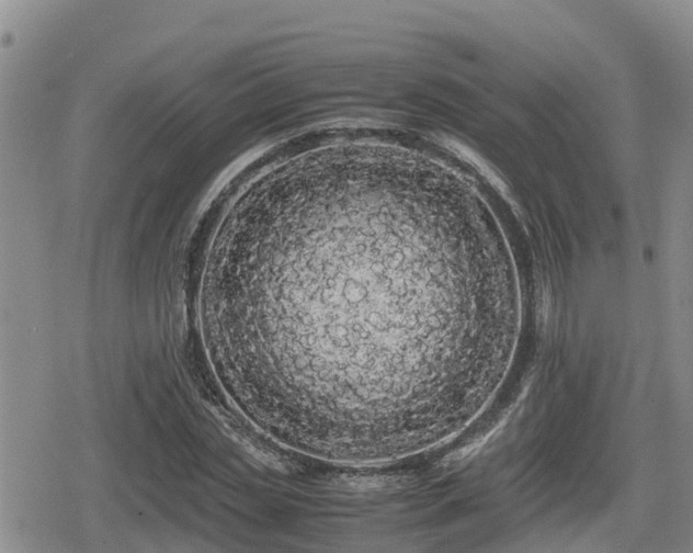 X0000080700829200612221115