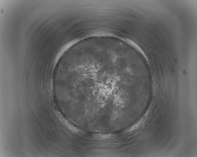 X0000080700831200612221115