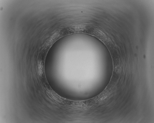 X0000080700866200612221115